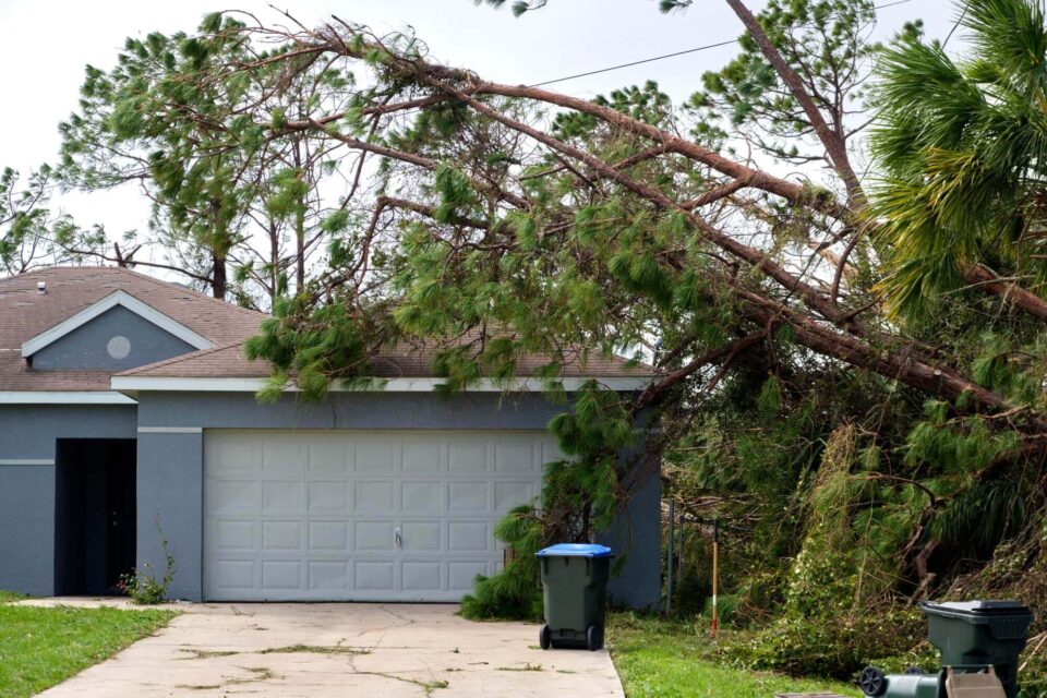 A house with a tree on the roof and a garage, representing storm cleanup services in MetroWest, MA.